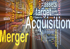 <!--CPE-->2025-26 Mergers and Acquisitions - A Complete Guide to Relevant Issues <p> <em>Including A Detailed Explanation of Form 8594</em> </p>
