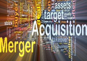 2025-26 Mergers and Acquisitions - A Complete Guide to Relevant Issues <p> <em>Including A Detailed Explanation of Form 8594</em> </p>