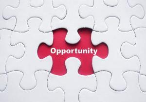 Qualified Opportunity Zones <em> <p> A Comprehensive Analysis </em> </p>