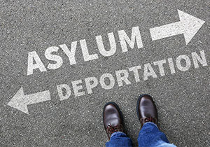 Asylum Litigation