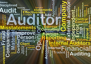 <!--11-02-23 & 12-14-23 & 1-11-23--> Developing An Audit Program <p> <em> (Full-Day or 2 Half-Days) </em> </p>