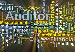 Developing An Audit Program <p> <em> (Full-Day or 2 Half-Days) </em> </p>