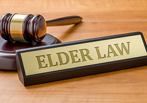 <!--11-13-23 & 12-12-23 & 1-08-24--> Elder Law Primer <p> <em>  A Primer on Elder Care and Medicaid Planning </em> </p>